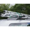 Assorted Bungee Cords (Pack of 8)