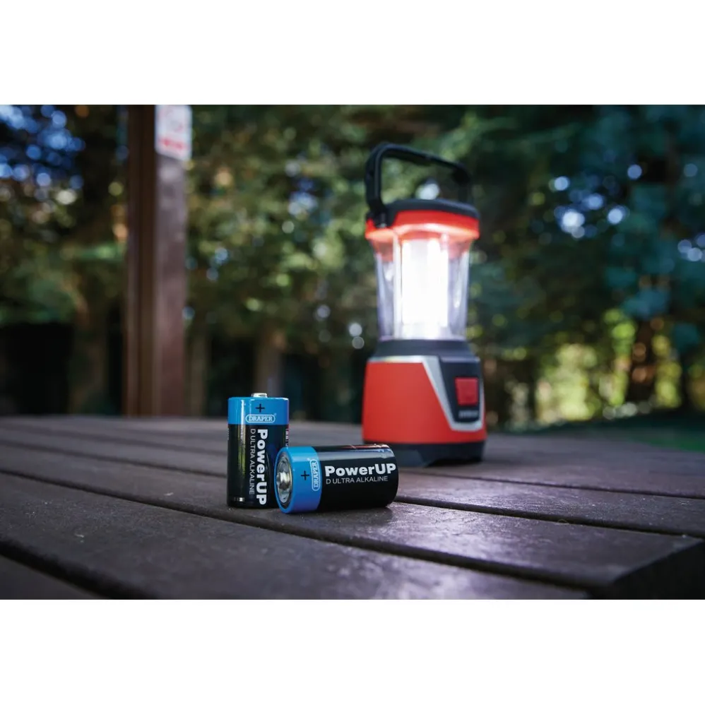 Draper PowerUP Ultra Alkaline D Batteries (Pack of 12)
