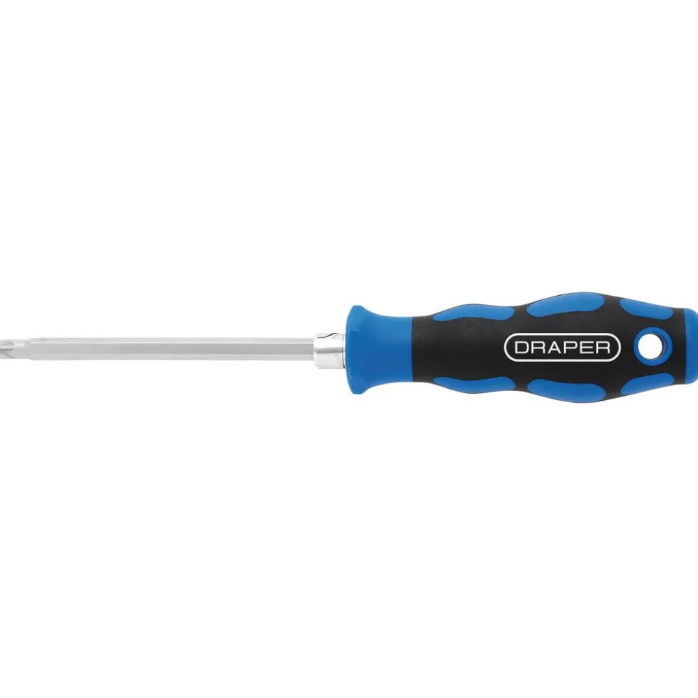 2-in-1 Reversible Blade Soft Grip Screwdriver, SL6/PZ2 x 175mm