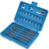 Screwdriver Bit Set (100 Piece)