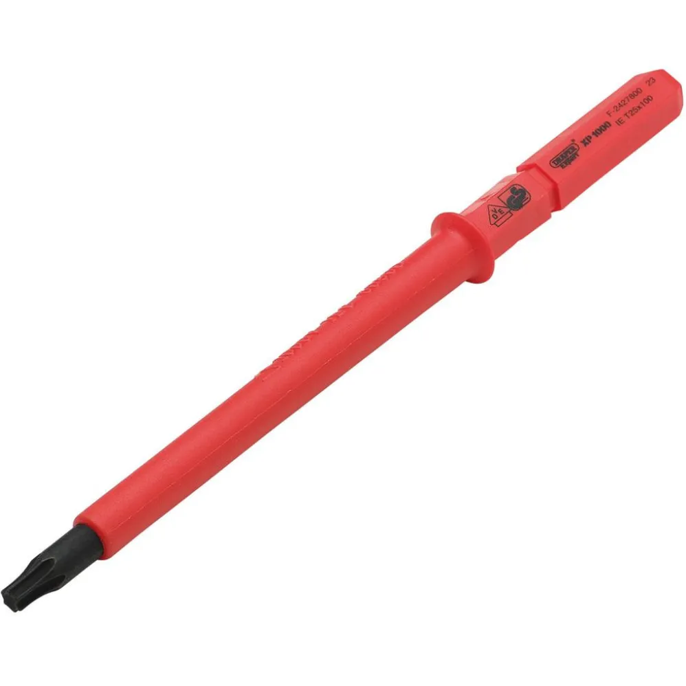 XP1000® VDE Draper TX-STAR® Interchangeable Screwdriver Blade, T25 x 100mm